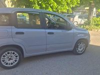 Usata Fiat Panda Pop 69 CV (50 kW) 2018 Grigio Utilitaria