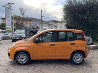 Usata Fiat Panda 69 CV (50 kW) 2021 Arancione Utilitaria