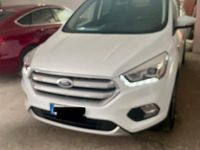 Usata Ford Kuga 115 CV (84 kW) 2019 Bianco SUV