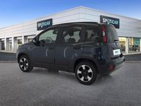 usata Fiat Panda Cross 1.0 FireFly 70cv S&S Hybrid