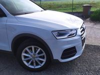 Usata Audi Q3 120 CV (88 kW) 2015 Bianco SUV