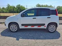 Usata Fiat Panda 4x4 86 CV (63 kW) 2019 Bianco pastello Utilitaria