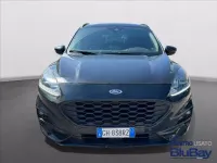 Usata Ford Kuga ST-Line 190 CV (139 kW) 2022 Nero SUV