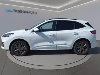 Usata Ford Kuga ST-Line 190 CV (139 kW) 2023 Bianco frozen SUV