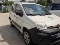 Usata Fiat Panda 4x4 85 CV (62 kW) 2020 Bianco Utilitaria