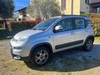 Usata Fiat Panda 4x4 75 CV (55 kW) 2014 Argento Utilitaria