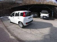 Nuova Fiat Panda Icon 69 CV (50 kW) 2025 Bianco Utilitaria