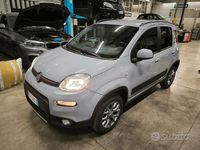 Usata Fiat Panda 4x4 S 85 CV (62 kW) 2020 Grigio Utilitaria