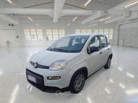 Usata Fiat Panda S 69 CV (50 kW) 2024 Utilitaria