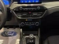Usata Ford Kuga Titanium X 150 CV (110 kW) 2022 Grigio SUV
