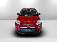 Usata Fiat Panda S 70 CV (51 kW) 2024 Rosso passione Utilitaria