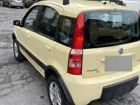 Usata Fiat Panda 4x4 Climbing 69 CV (50 kW) 2006 Giallo Utilitaria