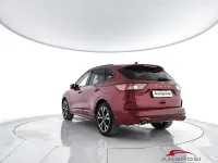 Usata Ford Kuga ST-Line X 190 CV (139 kW) 2020 Rosso SUV