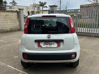 Usata Fiat Panda Lounge 69 CV (50 kW) 2020 Bianco Utilitaria