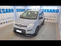 Usata Fiat Panda City Life 70 CV (51 kW) 2022 Grigio Utilitaria