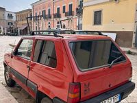 Usata Fiat Panda 4x4 Trekking 54 CV (39 kW) 2000 Rosso Utilitaria