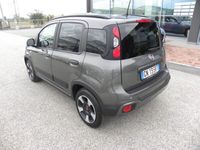 usata Fiat Panda Cross 1.0 FireFly S&S Hybrid