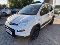Usata Fiat Panda 4x4 S 86 CV (63 kW) 2019 Bianco Utilitaria