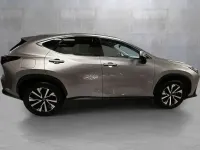 Usata Lexus NX450h+ Executive Line 185 CV (136 kW) 2023 Grigio SUV