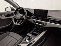 usata Audi A4 Avant 35 TDI/163 CV S tronic Business Advanced