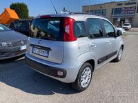 Usata Fiat Panda Easy 69 CV (50 kW) 2019 Grigio Utilitaria
