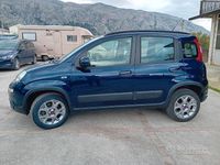 Usata Fiat Panda 4x4 75 CV (55 kW) 2014 Blu Utilitaria