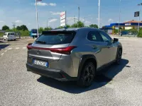 Usata Lexus UX Business Edition 152 CV (111 kW) 2020 Grigio SUV