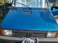 Usata Fiat Panda 4x4 Trekking 54 CV (39 kW) 2001 Utilitaria