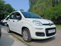 Usata Fiat Panda Pop 69 CV (50 kW) 2020 Utilitaria