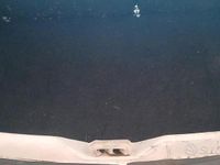 Usata Citroën Saxo 57 CV (41 kW) 2002 Utilitaria