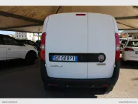Usata Fiat Doblò Business 105 CV (77 kW) 2021 Bianco Monovolume