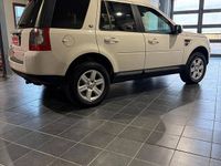 Usata Land Rover Freelander 2 160 CV (117 kW) 2008 Bianco SUV