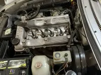 Usata Alfa Romeo Spider Quadrifoglio Verde 125 CV (91 kW) 1988 Cabrio