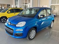Nuova Fiat Panda Icon 65 CV (47 kW) 2026 Blu italia Utilitaria