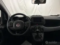 Usata Fiat Panda Cross Cross 70 CV (51 kW) 2022 Rosso Utilitaria