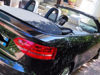 usata Audi A3 Cabriolet 2000 TDI sline