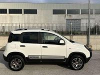 Usata Fiat Panda Cross Cross 86 CV (63 kW) 2021 Utilitaria