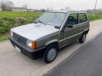 usata Fiat Panda 1100 i.e. cat Young