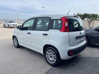 usata Fiat Panda 3ª serie 1.2 Easy