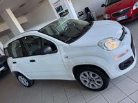 Usata Fiat Panda Lounge 71 CV (52 kW) 2020 Bianco Utilitaria