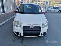 Usata Fiat Panda 101 CV (74 kW) 2009 Bianco Utilitaria