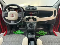 Usata Fiat Panda 4x4 75 CV (55 kW) 2013 Rosso Utilitaria