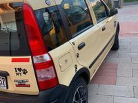 Usata Fiat Panda 2009 Giallo Berlina