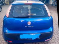 Usata Fiat Punto Evo 75 CV (55 kW) 2011 Utilitaria