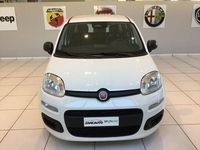Nuova Fiat Panda Icon 70 CV (51 kW) 2025 Bianco Utilitaria