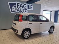 Usata Fiat Panda Lounge 69 CV (50 kW) 2017 Beige Utilitaria