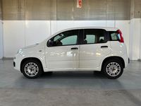 Usata Fiat Panda Easy 95 CV (69 kW) 2018 Bianco Utilitaria