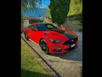 Usata Ford Mustang Fastback 317 CV (233 kW) 2016 Rosso Coupé