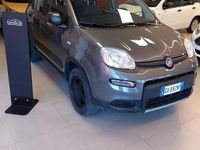 Usata Fiat Panda 4x4 S 84 CV (61 kW) 2020 Grigio Utilitaria