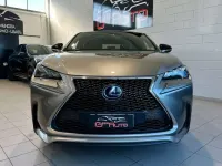 Usata Lexus NX300h Sport Line 155 CV (114 kW) 2015 Grigio SUV